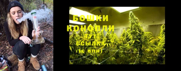 mdpv Володарск