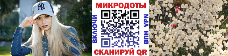 Галлюциногенные грибы Psilocybe Артём