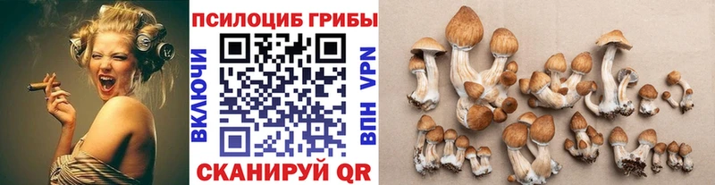 Псилоцибиновые грибы Cubensis  Артём 
